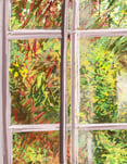 Digital drawing - Streaming in. RDS portfolio submission