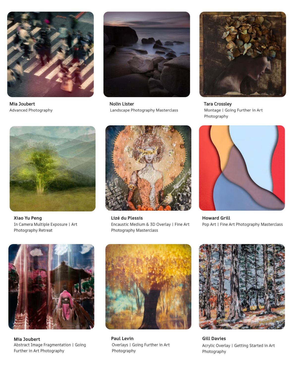 Fine art photography courses showcase student portfolios in various artistic styles and techniques.