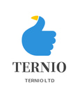TERNIO LTD logo