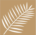 Palm Properties
