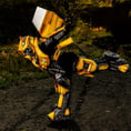 Cosplay de Bumblebee, faisant l'enfant.