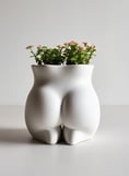 a small artistic planter with greenery, representing a thoughtful affordable gift idea