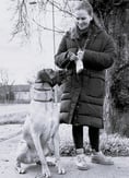 Dog walker with reactive dog in muzzle - black and white