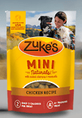 dog treats