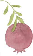 pomegranate drawing on a stem