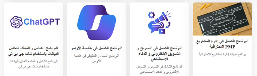 البرنامج الشامل في إدارة المشاريع