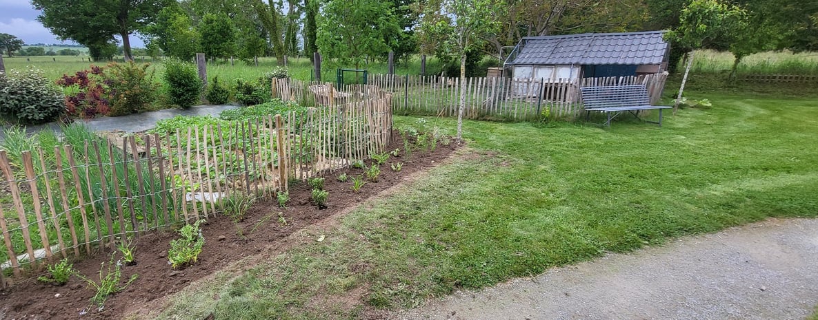 Jeunes plantations bordées d’une clôture en bois rustique dans un jardin paysager