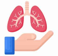 a hand holding a pair of lungs