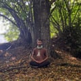 méditation ostéopathe toulon