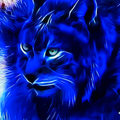 Blue Cat logo