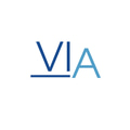 The V Aesthetics logo