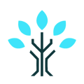 The Learning Tree logo