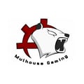 Mulhouse Gaming, structure partenaire du Grand Est