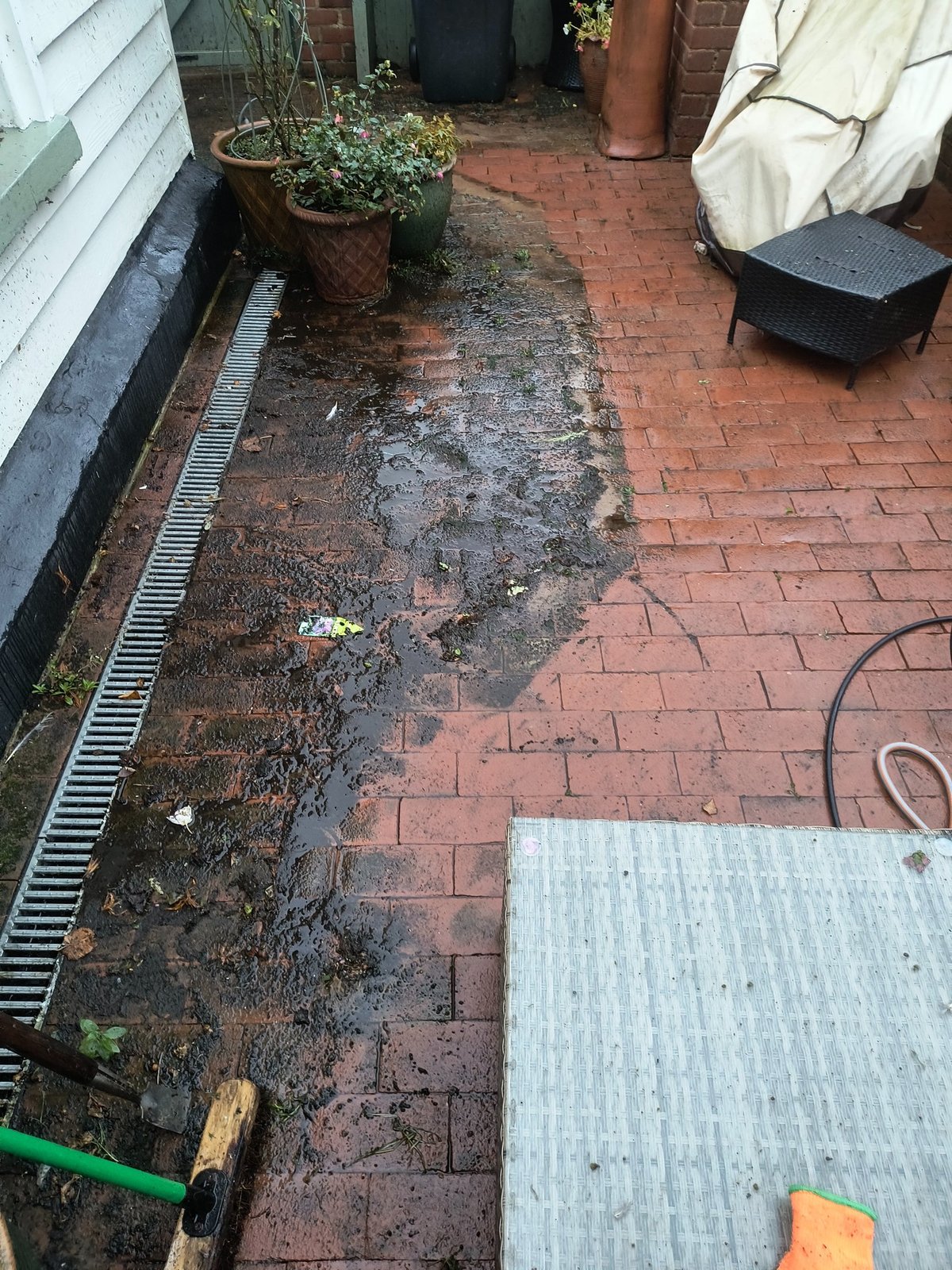 Freshly pressure-washed garden path
