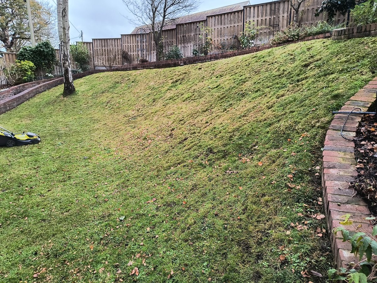 A neatly mowed garden after a visit from Sandwich Lawn Mowing