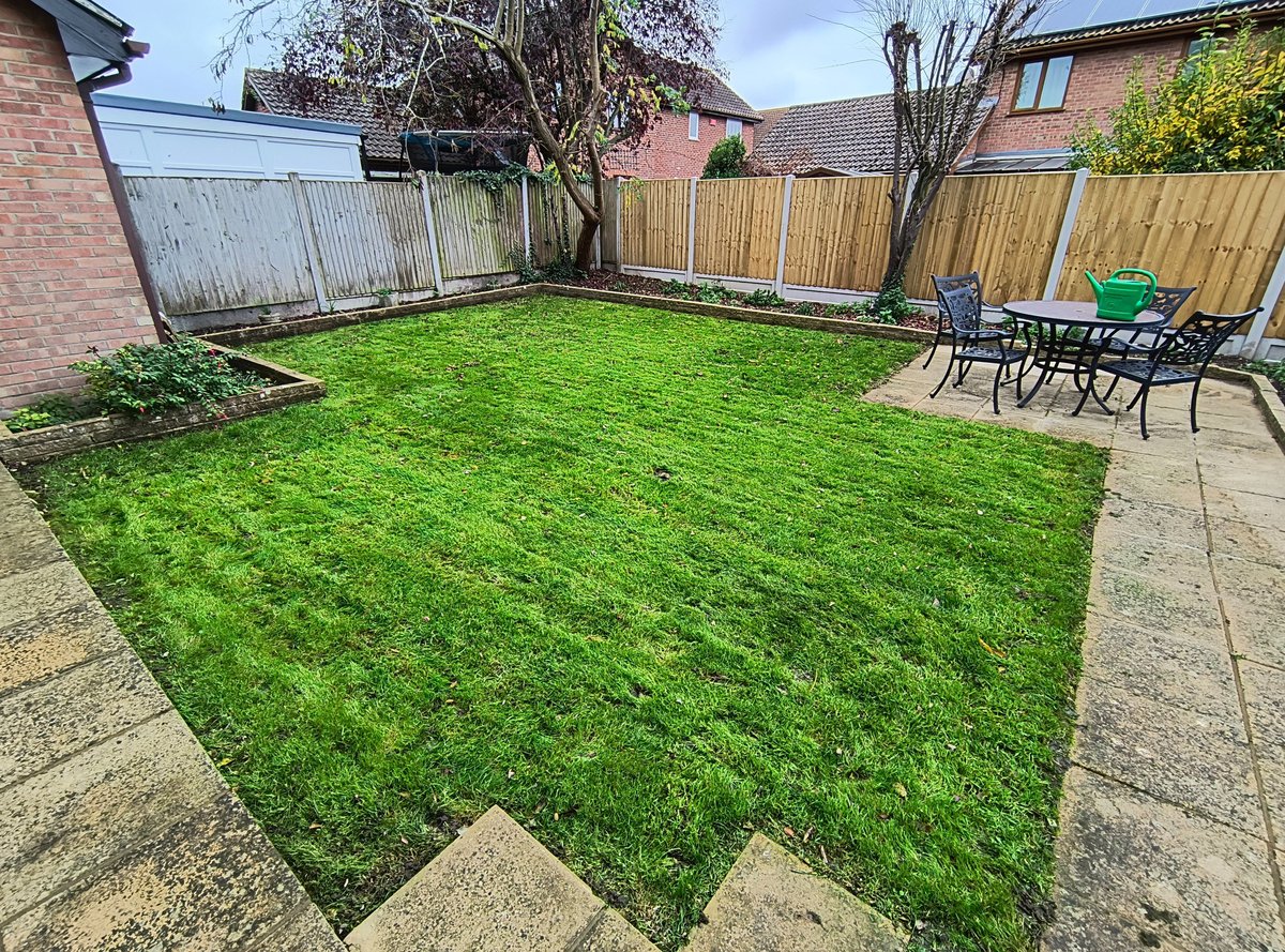 Beautifully mowed lawn with stripes in Sandwich