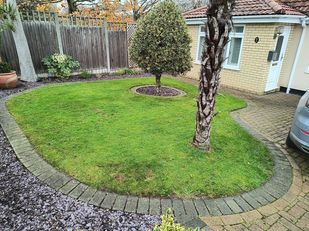 A weeded border in a Sandwich garden