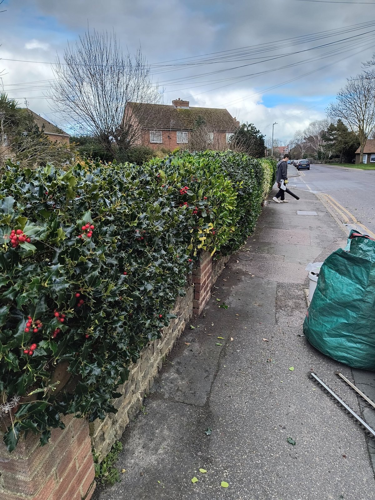 Hedge being cut by Sandwich Lawn Mowing