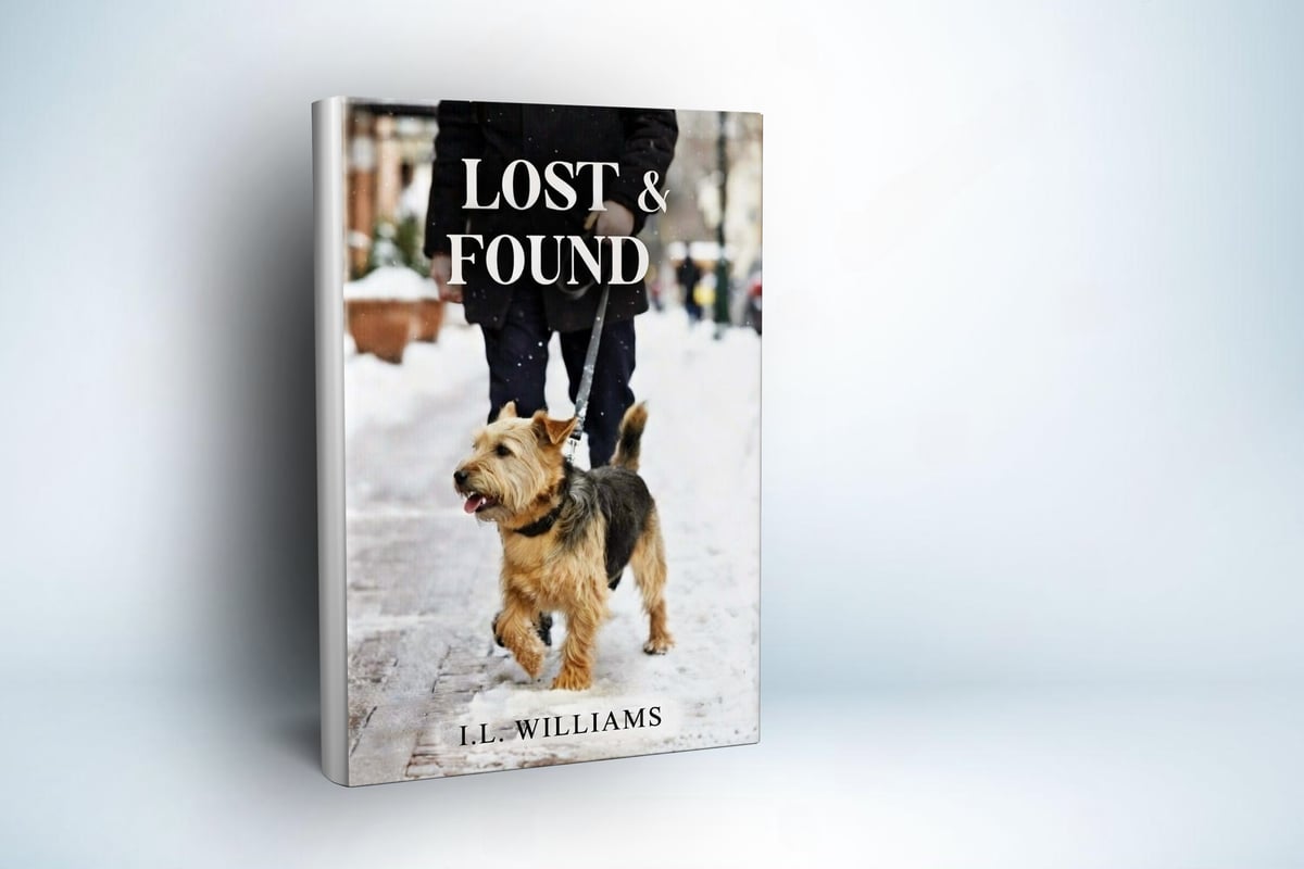 Lost & Found — book cover