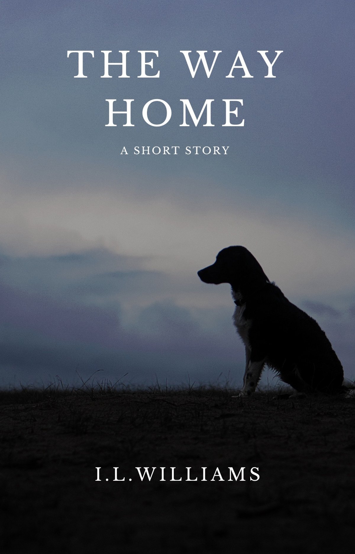 The Way Home — book cover