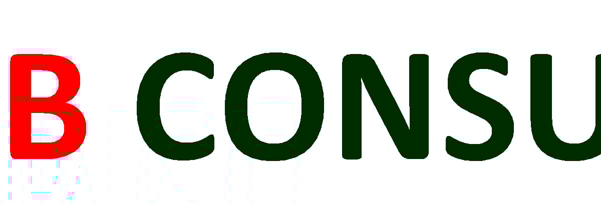 hire-hub-consultants-hire-hub-consultant