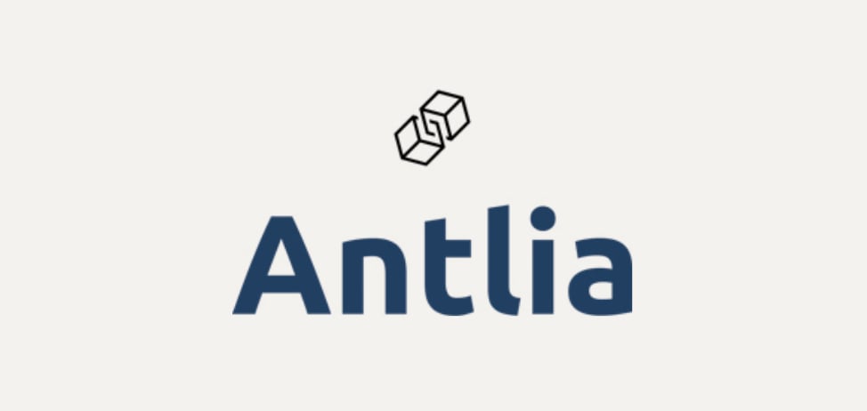 Antlia Pty Ltd - IT Business Services and Custom Development | Antlia Pty Ltd