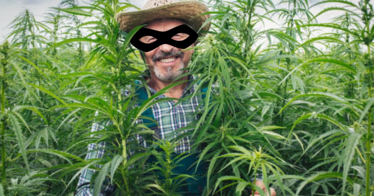 Evidence Tampering Definition, Components and Defences Lawctagon