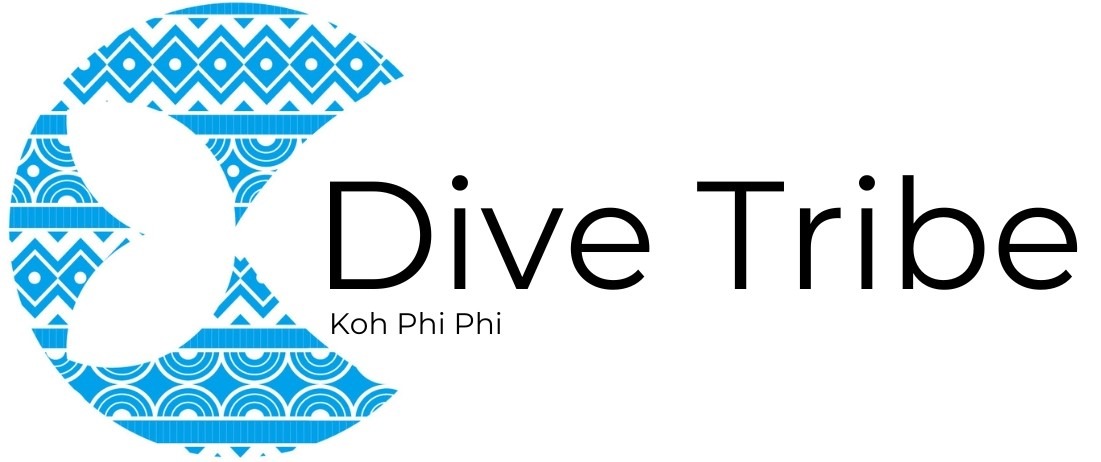 Fun diving & PADI Courses (ES) | Dive Tribe Phi Phi