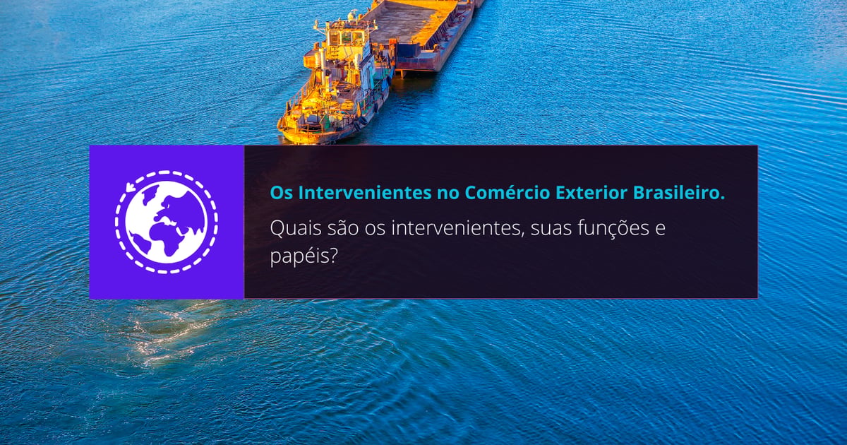Os Intervenientes no Comércio Exterior Brasileiro. Quais são os ...