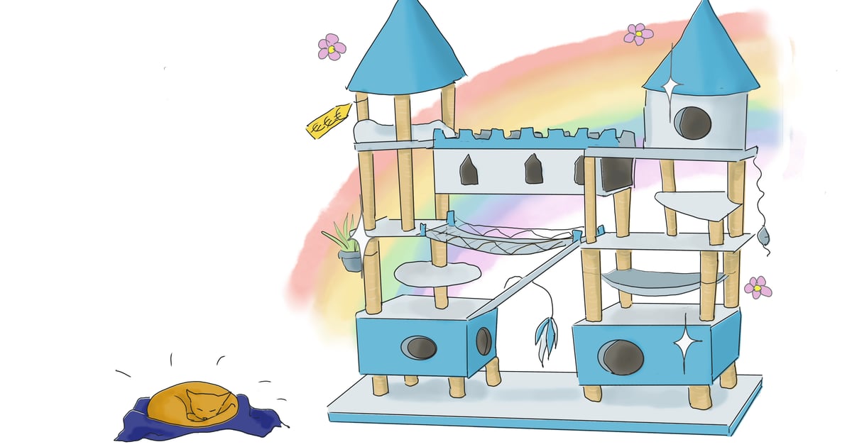 Comment choisir un arbre à chat | Perpective comportementaliste chat