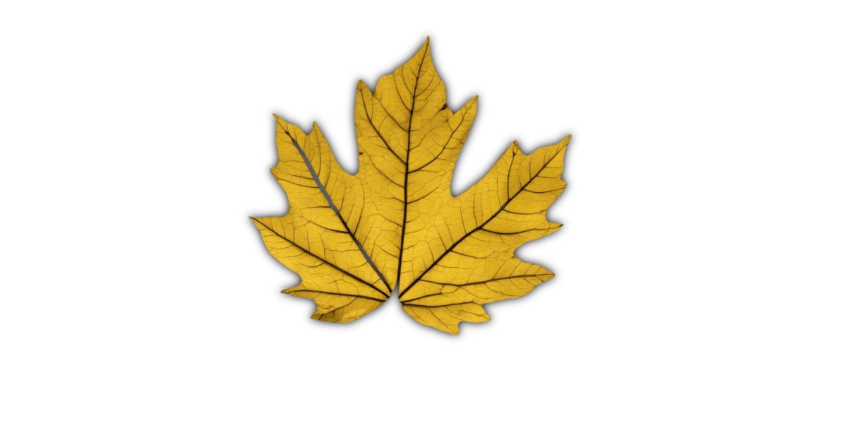 Gutter Cleaning Canberra Gutter Cleaning ACT