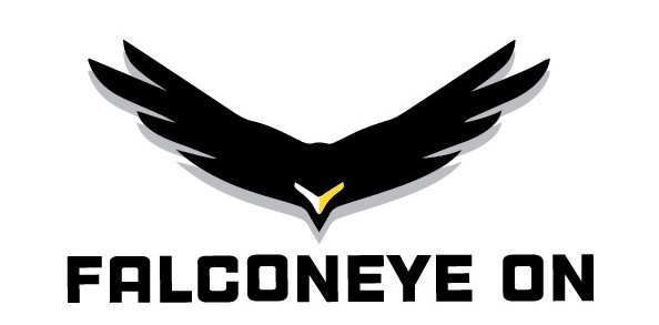 Falconeyeon: Your Trusted Security and Power Solutions Provider