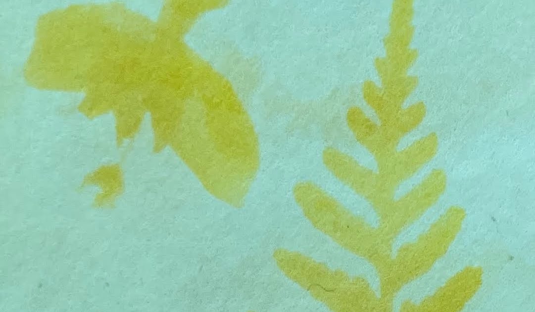 exploring-plant-sun-prints-indigo-in-green