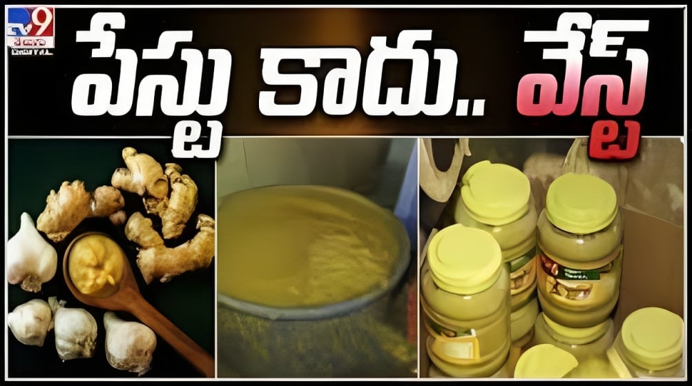 "The Hidden Truth About Adulteration in Ginger Garlic Paste Village