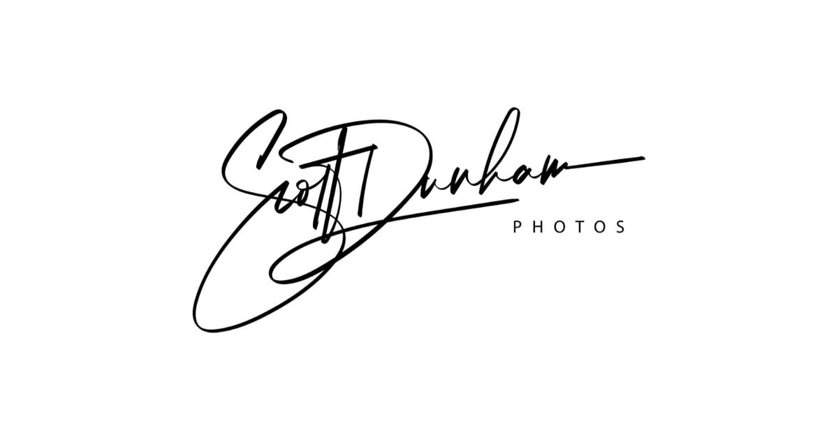 stunning-australian-bird-photography-prints-scott-dunham-photos