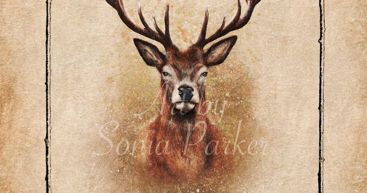 spiritual-meaning-of-stag-symbolism-totem-animal-spirit-guide