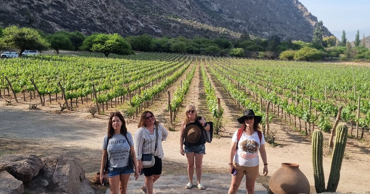 Mujeres viajando en grupo por las Rutas del Vino | SheWine