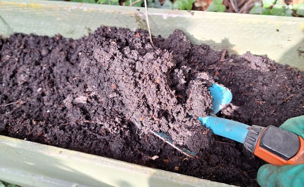 How and How Often to Fertilize Plants Naturally
