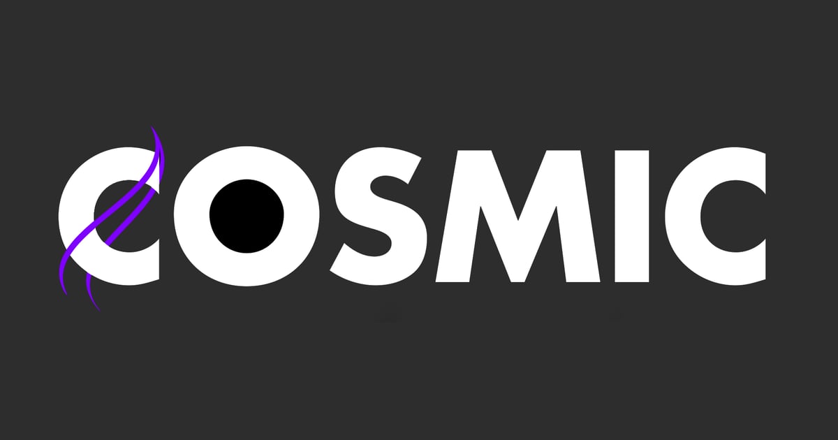 Quality Rocketry Products | Cosmic Aerospace Technologies