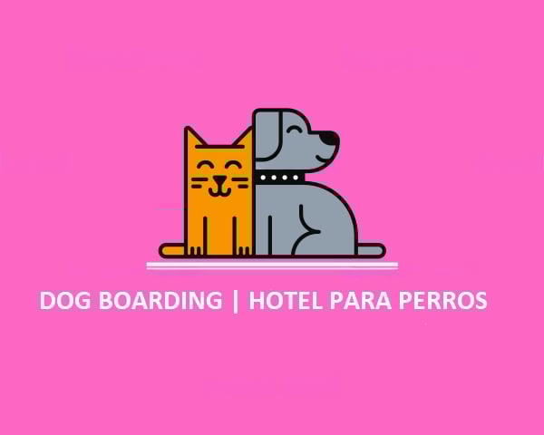 DOG BOARDING | PET SITTER | JR DOG HOTEL - Pet Services in Cutler Bay