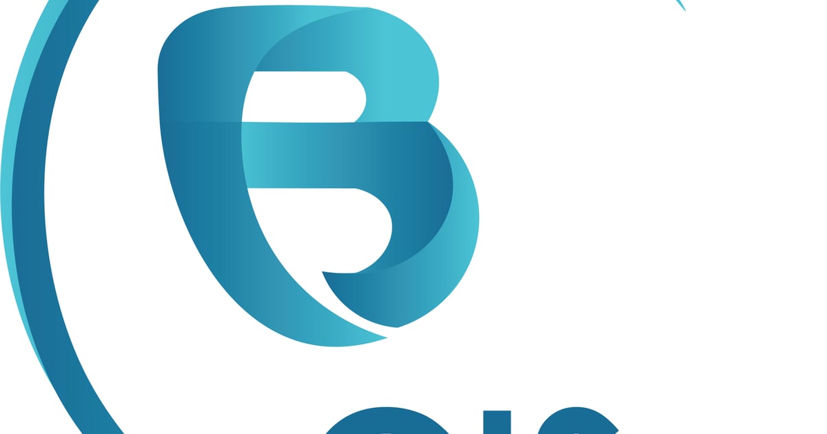 Courses Catalog BeGISer Courses Catalog BeGISer