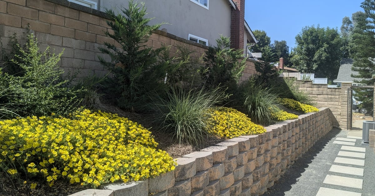 DAVILA LANDSCAPE DESIGNS logo