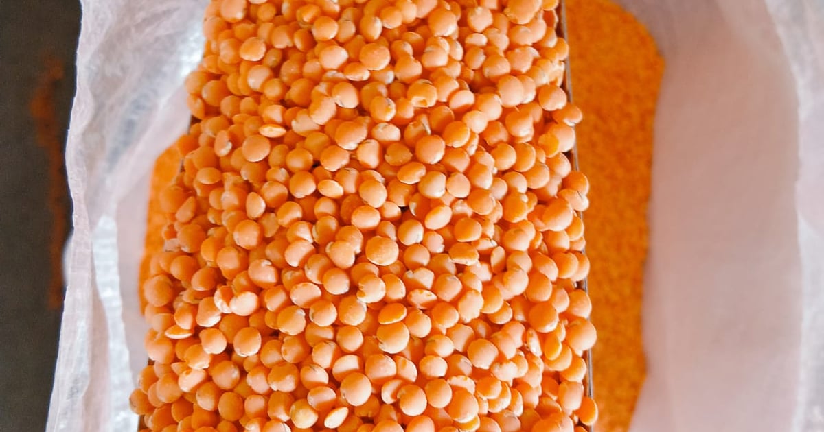 Red Lentils A M Commodities Red lentils a m commodities