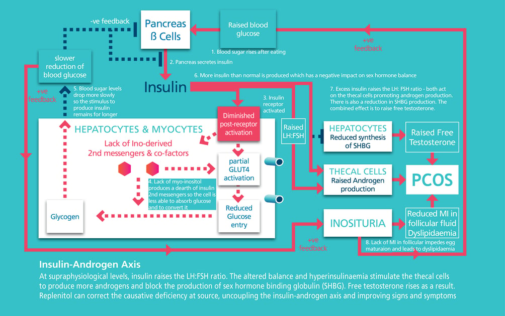 pcos-that-is-caused-by-insulin-resistance