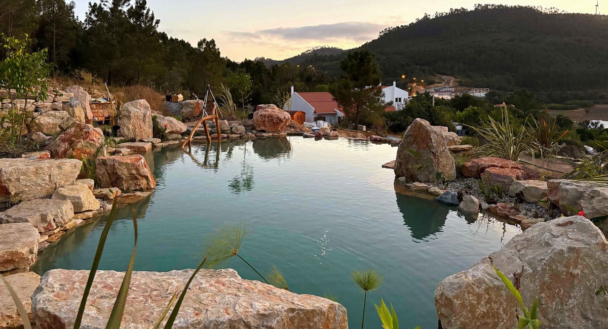 Natural pool with healthy plant zones — the primary defence against algae