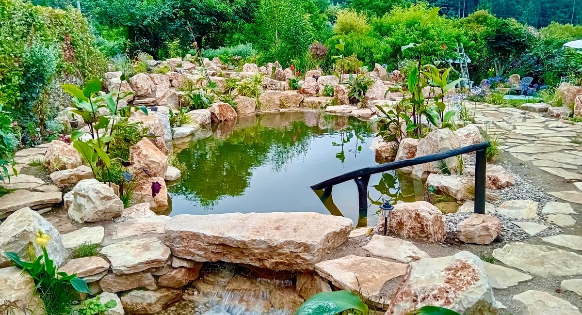 Naturalistic natural pool with planted edges — Aqua Vitae, Portugal