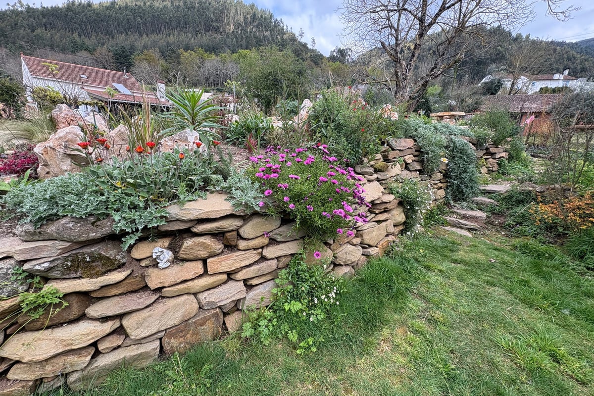 Natural stone wall with regenerative landscaping and aromatic plants — Miranda do Corvo, Portugal