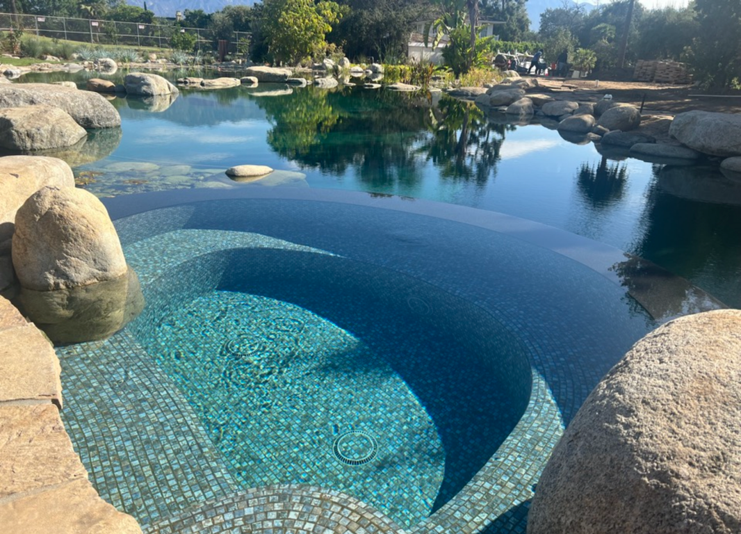 Natural swimming pool with integrated soaking tubs and biological plant filtration in Malibu, CA