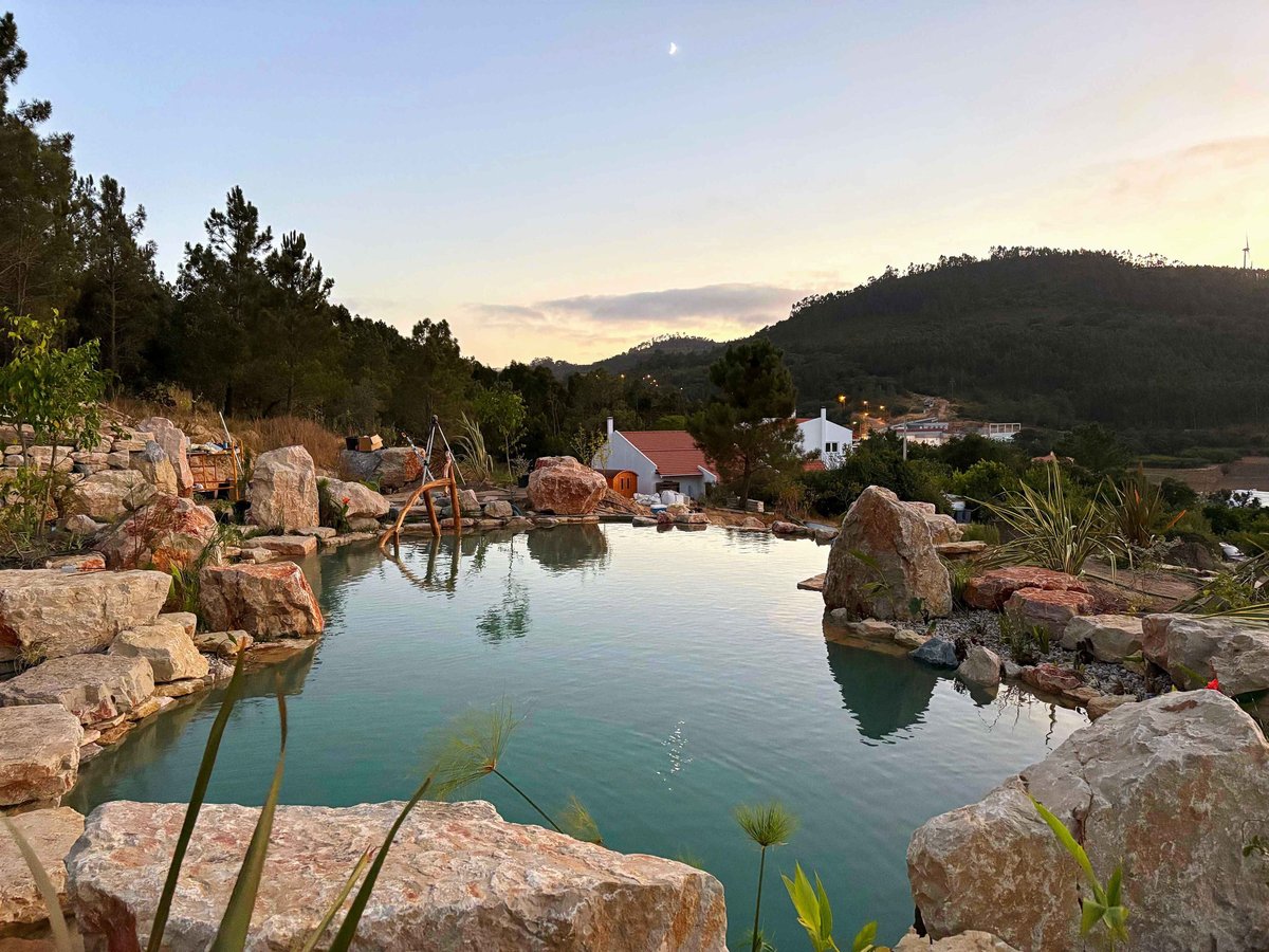 Custom natural swimming pool shaped to the landscape — Aqua Vitae Portugal