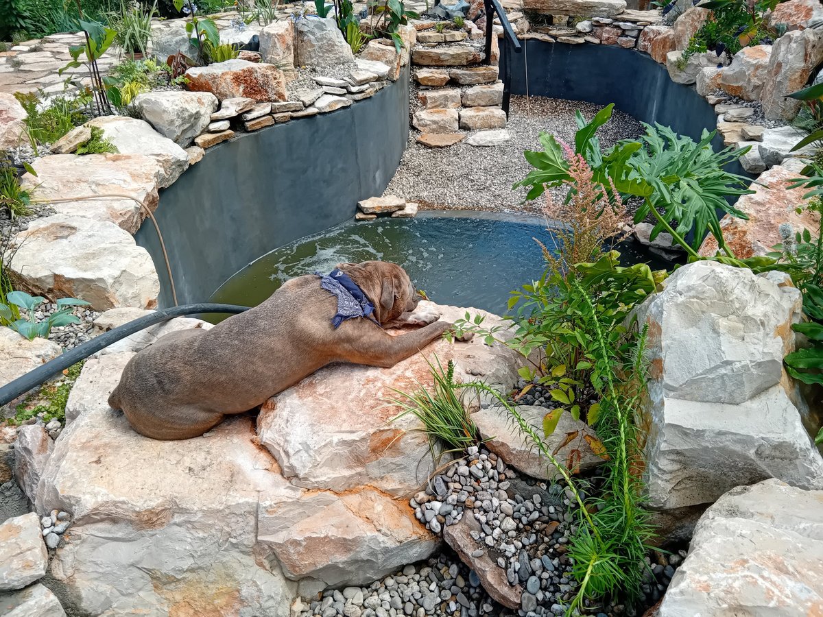 Artisan stonework and natural pool landscaping — Aqua Vitae